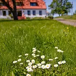 ホームステイ Gutshaus Ketelshagen プットブス