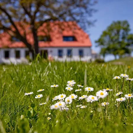 Guest house Gutshaus Ketelshagen Putbus