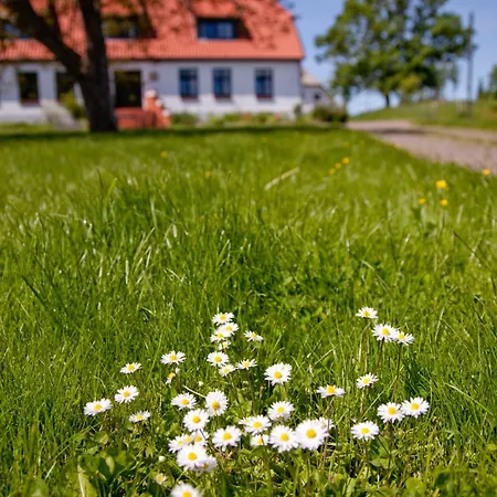 Pansiyon Gutshaus Ketelshagen Putbus