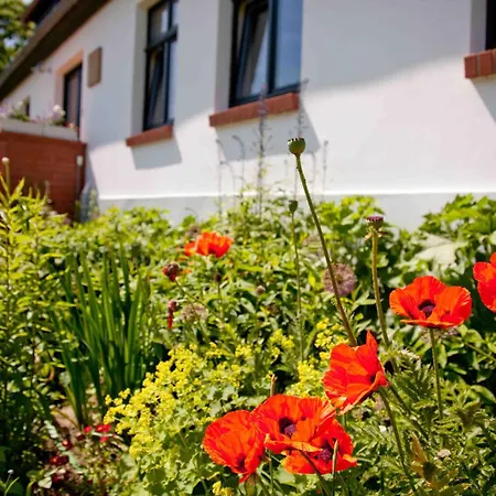 Gutshaus Ketelshagen 푸트버스