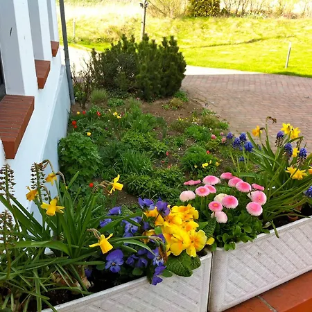 Gutshaus Ketelshagen 푸트버스