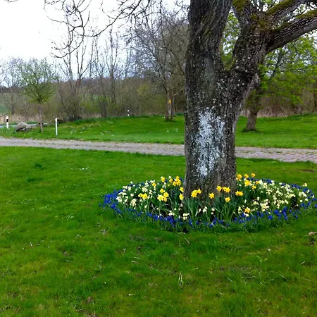 Gutshaus Ketelshagen 푸트버스