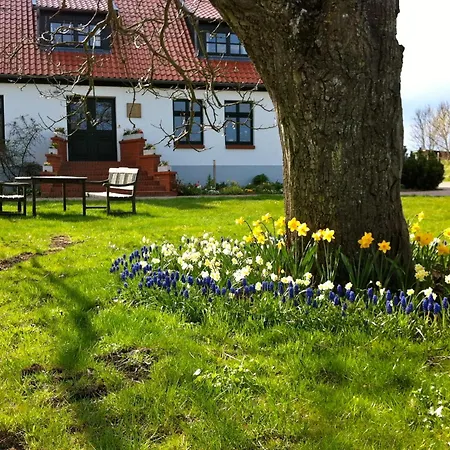 게스트하우스 Gutshaus Ketelshagen 푸트버스