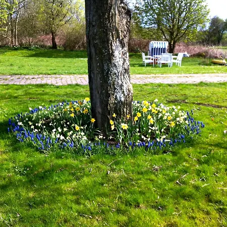 Gutshaus Ketelshagen 푸트버스