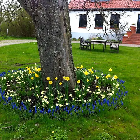 게스트하우스 Gutshaus Ketelshagen