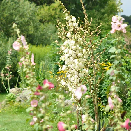 게스트하우스 Gutshaus Ketelshagen 4*