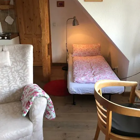 Gutshaus Ketelshagen 4* 푸트버스